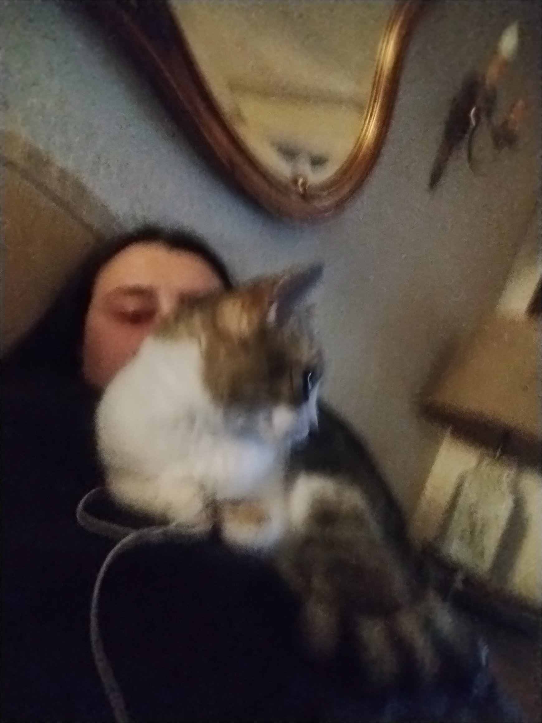 Tuni sleeping on me but its blurry